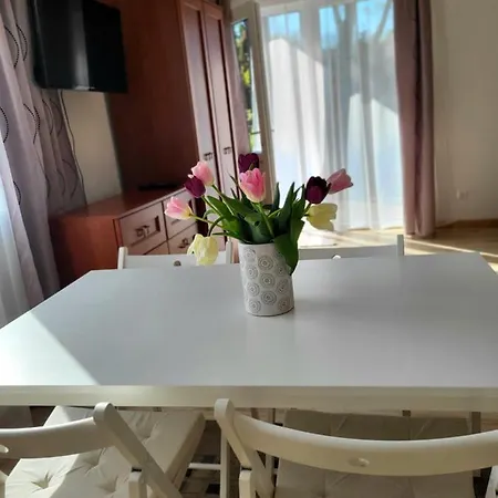 Dom wakacyjny Diamond Bungalo *